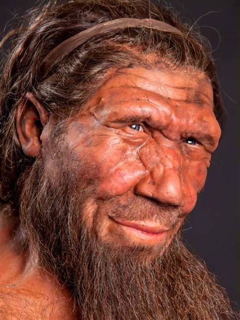 Scientists Identify Neanderthal Genes In Modern Human Dna Anthropology Sci News
