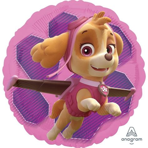 Paw Patrol Girl Skye And Everest Round Foil Balloon 45cm