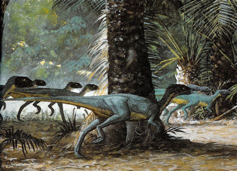 Triassic ∆ Jurassic ∆ Cretaceous Photo Prehistoric Dinosaur Art