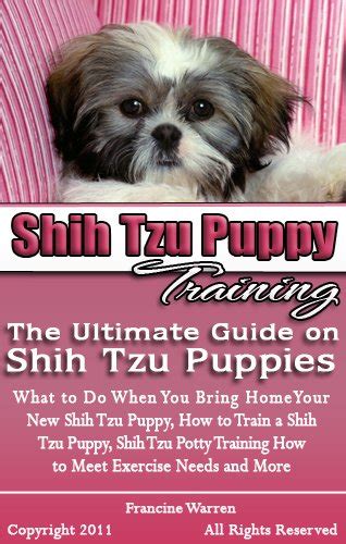 Shih Tzu Puppy Training The Ultimate Guide On Shih Tzu Puppies What