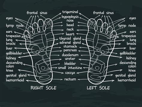 Health Benefits Of Reflexology Bao Foot Spa