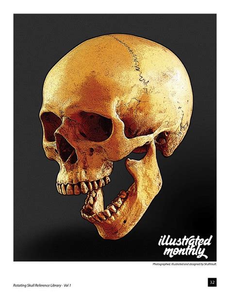 18 Best Skull Reference Material Images On Pinterest Skull Reference Human Skull And Skeletons