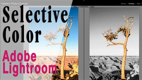 How To Create Selective Color In Lightroom Youtube