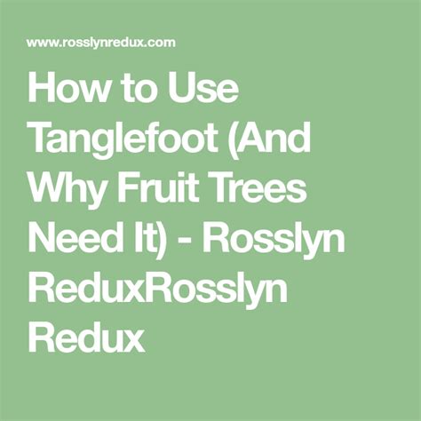 How To Use Tanglefoot And Why Fruit Trees Need It Rosslyn