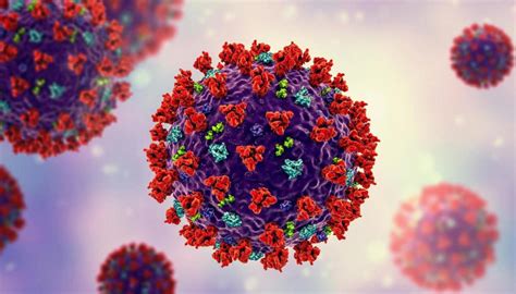 Covid 19 Four New Coronavirus Cases In Managed Isolation Two Uk