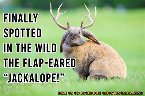 Funny Deer Hunting Meme Elusive Flap Eared Jackalope In