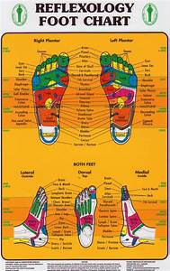 Foot Reflexology Photo Only Reflexology Foot Chart Lymph 