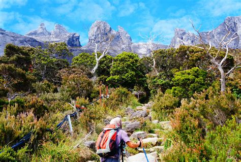 Also the centre of plant diversity for south east asia, the park boasts more than 5,000 vascular plant species and has no shortage of fauna as well, being home to some 90 lowland mammal species and many others. Mount Kinabalu | Tours and Travel | Malaysia, Sabah, Borneo