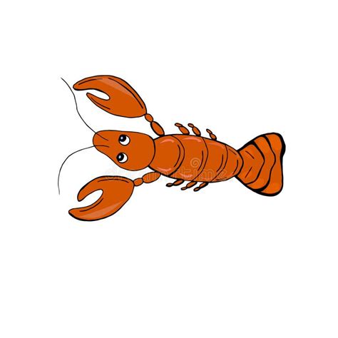 Funny Lobster Cartoon Stock Vector Illustration Of Gourmet 24097434