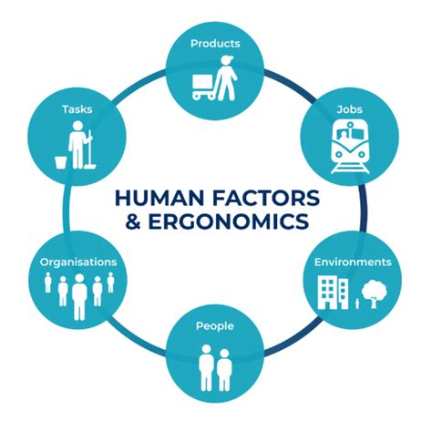 Human Factors Infographic For Website 