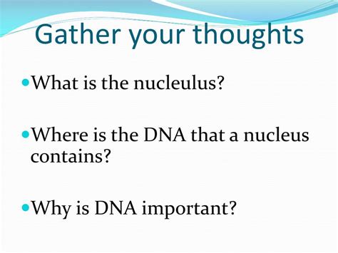 Most biomolecules are organic compounds, and just four elements—oxygen, carbon, hydrogen, and nitrogen—make up 96% of the human body's mass. PPT - Cell Structure and Function PowerPoint Presentation ...