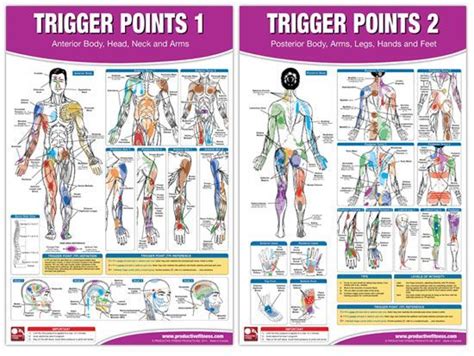 Triggerpoints Map Yahoo Image Search Results Trigger Points