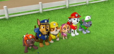 Rubble And Skyegallery Paw Patrol Relation Ship Wiki Fandom