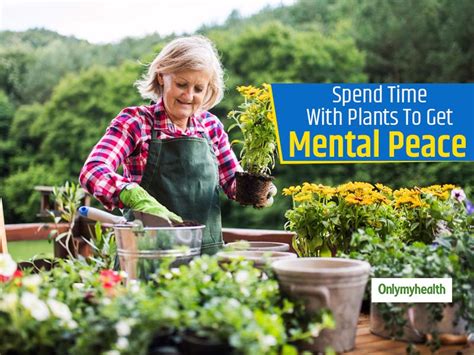 Gardening And Mental Health 5 Reasons Why You Must Start Gardening