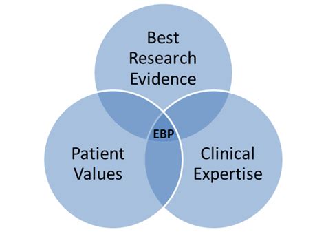 The Ebp Process Nursing Experts Translating The Evidence Public