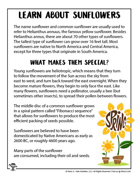 Teach Kids About Sunflowers Woo Jr Kids Activities Childrens