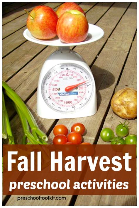 Fall Harvest Theme Preschool Activities Preschool Toolkit