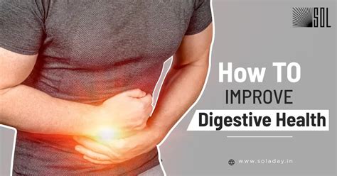 How To Improve Your Digestive Health With 10 Simple Tips Sol