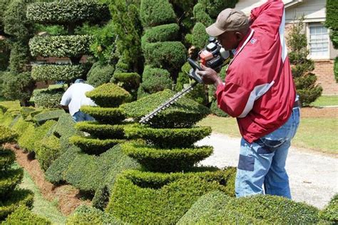 How To Trim Bushes Into Shapes