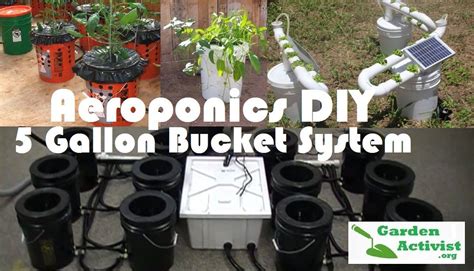 The 5 Gallon Bucket System Is One Of The Easiest Ways To Get Started In