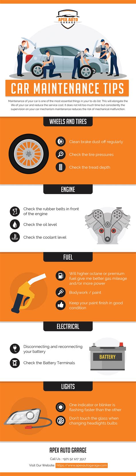 Car Maintenance Tips Infographic Apex Auto Garage