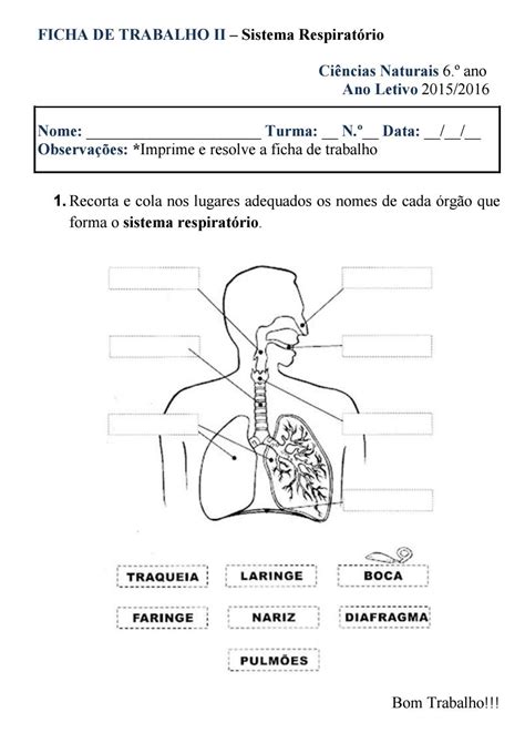 Ficha De Aparato Respiratorio Para Segundo De Primaria Reverasite