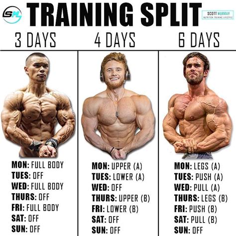 8 Powerful Muscle Building Gym Training Splits