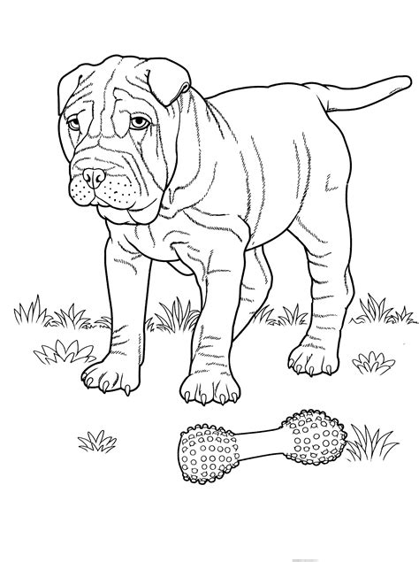 English Mastiff Coloring Pages At Free Printable