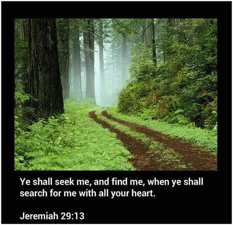 a dirt road in the middle of a forest with trees and grass on both sides