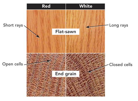 Having A Very Hard Time Telling If My Floors Are White Or Red Oak