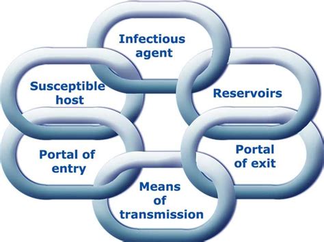 Chain Of Infection If One Of The Chains Break You The Whole Process