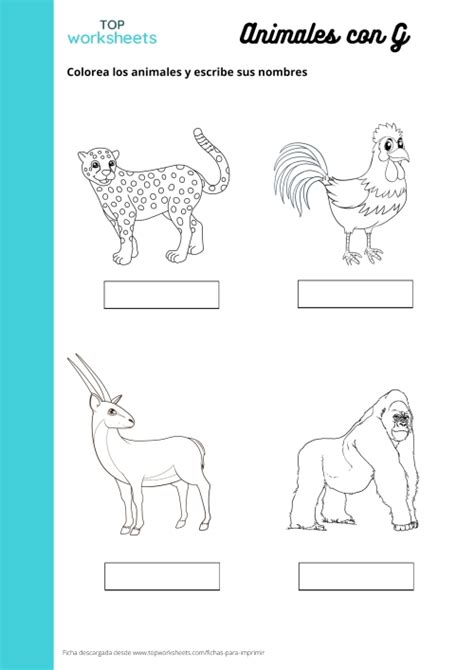 Colorea Animales Con G Ficha Para Imprimir Topworksheets