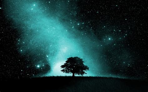 Starry Night Sky Hd Wallpaper Background Image 1920x1200 Id