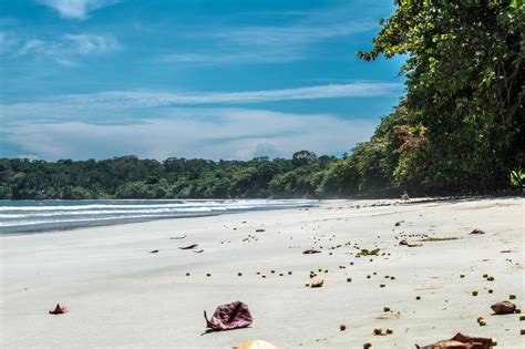 Best Costa Rica Attractions East Vs West Coast Endlessly Wanderlust
