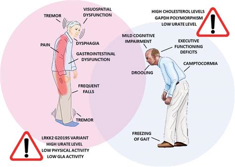 Parkinson’s Disease In Women And Men What’s The Difference Ios Press