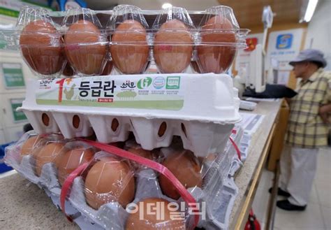 단독 농식품부 살충제 계란 농가 엉터리 발표31곳 중 10곳 틀려 네이트 뉴스