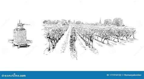 Vineyard Landscape France Vector Sketch Design Hand Drawn Stock