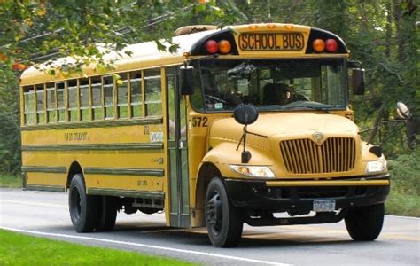 With your license from movie licensing usa, you are able to show unlimited movies indoors! The Seven Different School Bus Types - American Bus Sales