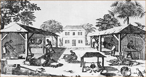 Histoire Géographie à Isle De Saone Lesclavage Dans Les Colonies