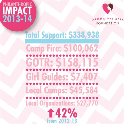 The Foundation Is Proud To Share That Gamma Phi Beta Contributed 338938 To National And Local