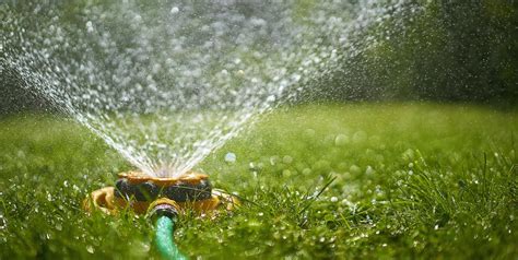 How To Irrigate Your Grass A Quick Guide To Summer Lawn Irrigation