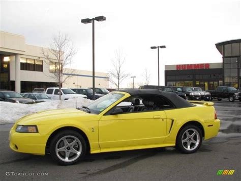 2001 Zinc Yellow Metallic Ford Mustang Cobra Convertible 24874989