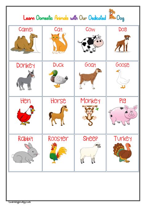 Domestic Animals Chart For Kids With Pictures Learningprodigy Charts