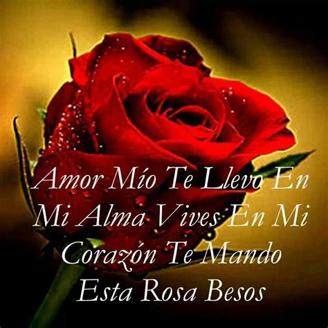 Imagen De Una Rosa Con Mensaje De Amor ∞ Sólo Imagenes De Amor ∞ Love