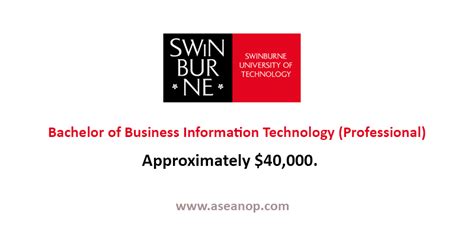 Scholarship For Bachelor Of Business Information Technology