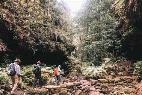 How To Spend A Weekend From Sydney Hiking In Blue Mountains Londoner