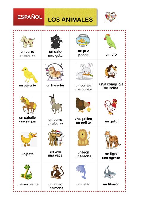 Las Mascotas Los Animales Vocabulário Espanhol Ensino De Espanhol