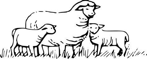 Sheep And Lamb Clipart Black And White Clip Art Library