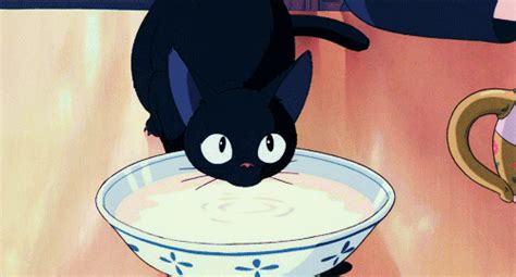 Kikis Delivery Service  On Imgur