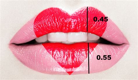 what size should your lips be